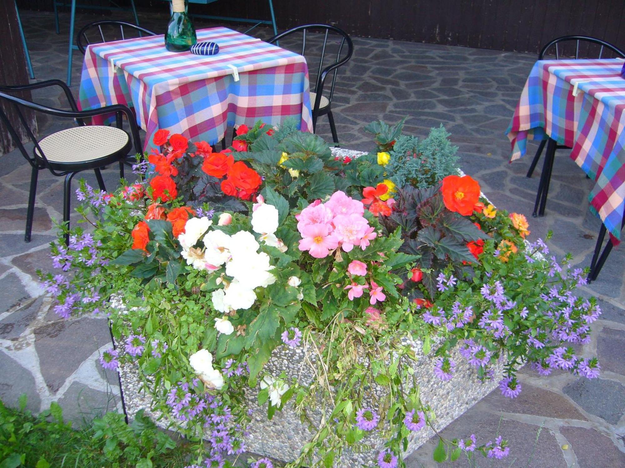 Hotel Gasthof Wastl Appiano Sulla Strada Del Vino Bagian luar foto