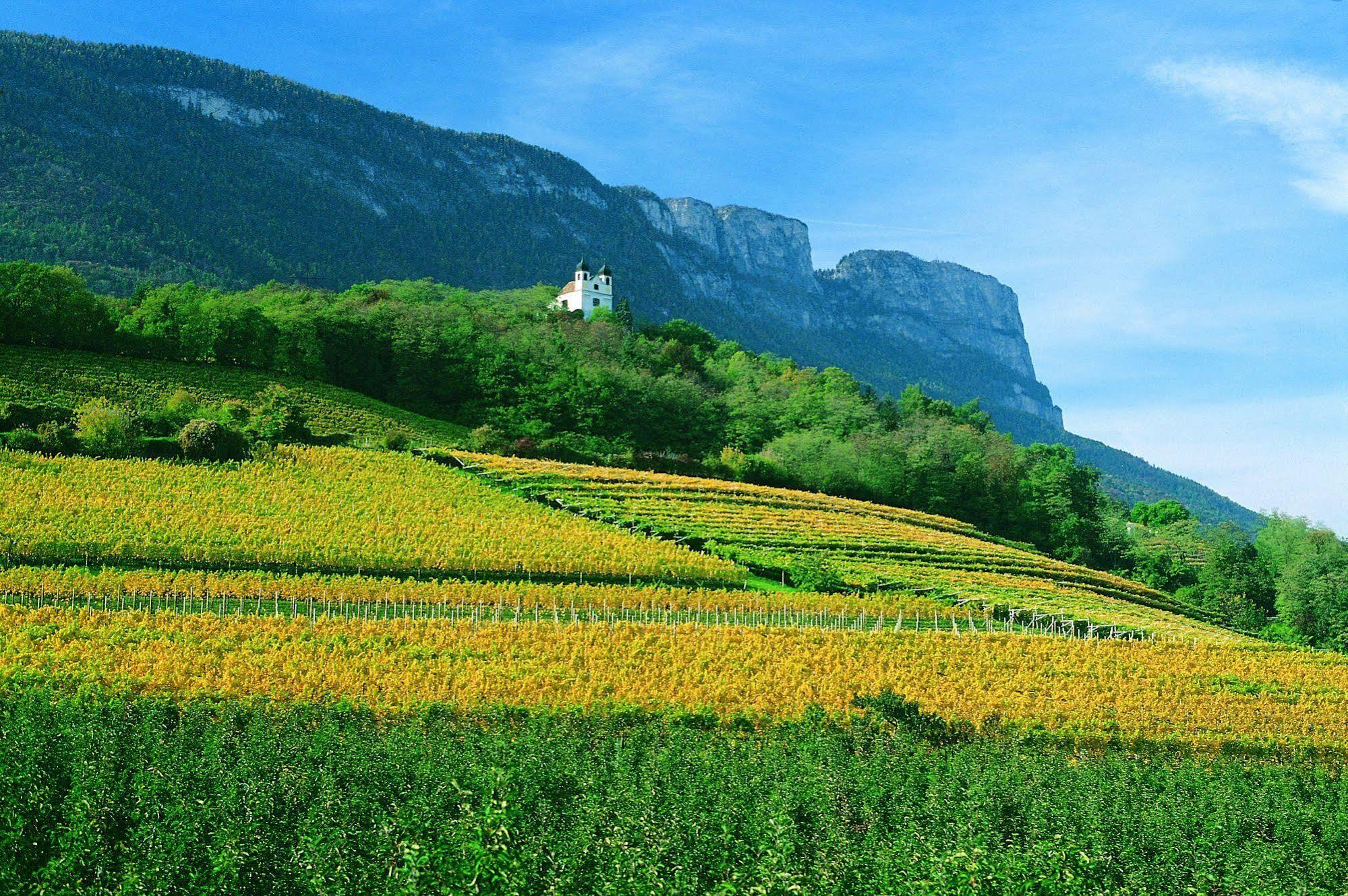 Hotel Gasthof Wastl Appiano Sulla Strada Del Vino Bagian luar foto