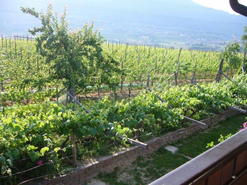 Hotel Gasthof Wastl Appiano Sulla Strada Del Vino Bagian luar foto